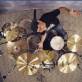 Sal Rodriguez Photo 3