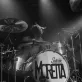 Kc Marotta Photo 3