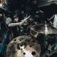 Shane O'Brien Photo 8