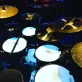 J-DOG Photo 3