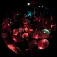Leonardo Jobst Photo 5