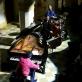 Elio Piedra Photo 30