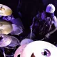 Juan Manuel Giordano Photo 33
