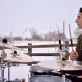 AJ Juliano Photo 1