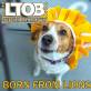 Last Turn Off Broadway - Born From Lions - 2014