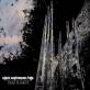 The Black September Falls - Dead Planets