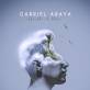 Abriste el Mar - Gabriel Araya
