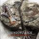 Sounding Rick-Dinosaur Bones