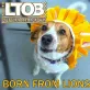 Last Turn Off Broadway - Born From Lions - 2014