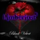 Limberlost "Black Velvet" Alannah Myles Cover