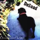 1993 - DeSaad - Oversized Load