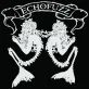 Echofuzz