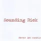 Rick Reynolds - Never Be Famous