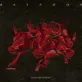 “MATADOR” (2018) 